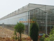 溫室大棚建造指南 濰坊與濟南連棟溫室及專業建造公司選擇